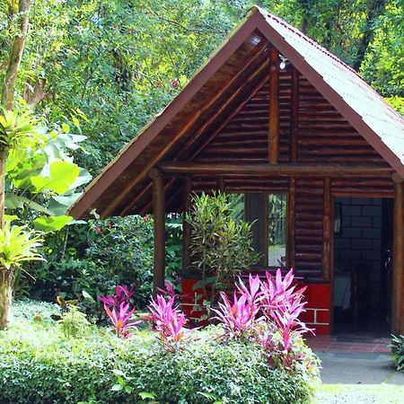 Arenal Oasis Eco Lodge & Wildlife Refuge La Fortuna 외부 사진