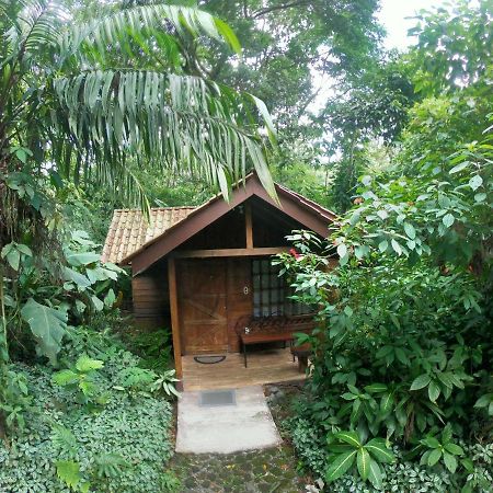 Arenal Oasis Eco Lodge & Wildlife Refuge La Fortuna 외부 사진