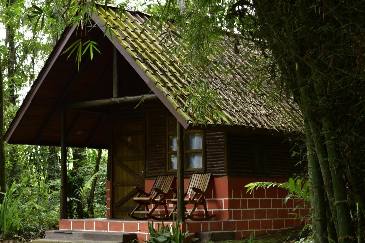 Arenal Oasis Eco Lodge & Wildlife Refuge La Fortuna 외부 사진