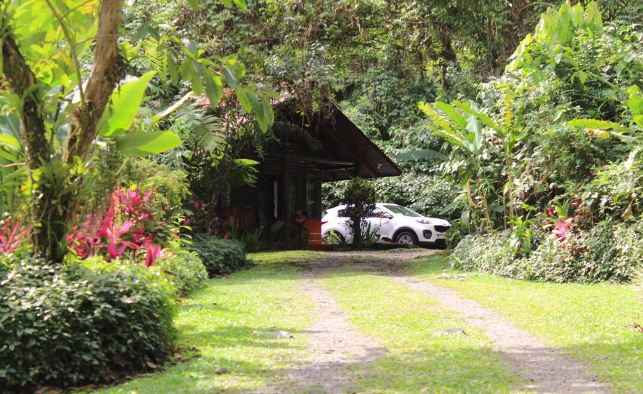 Arenal Oasis Eco Lodge & Wildlife Refuge La Fortuna 외부 사진