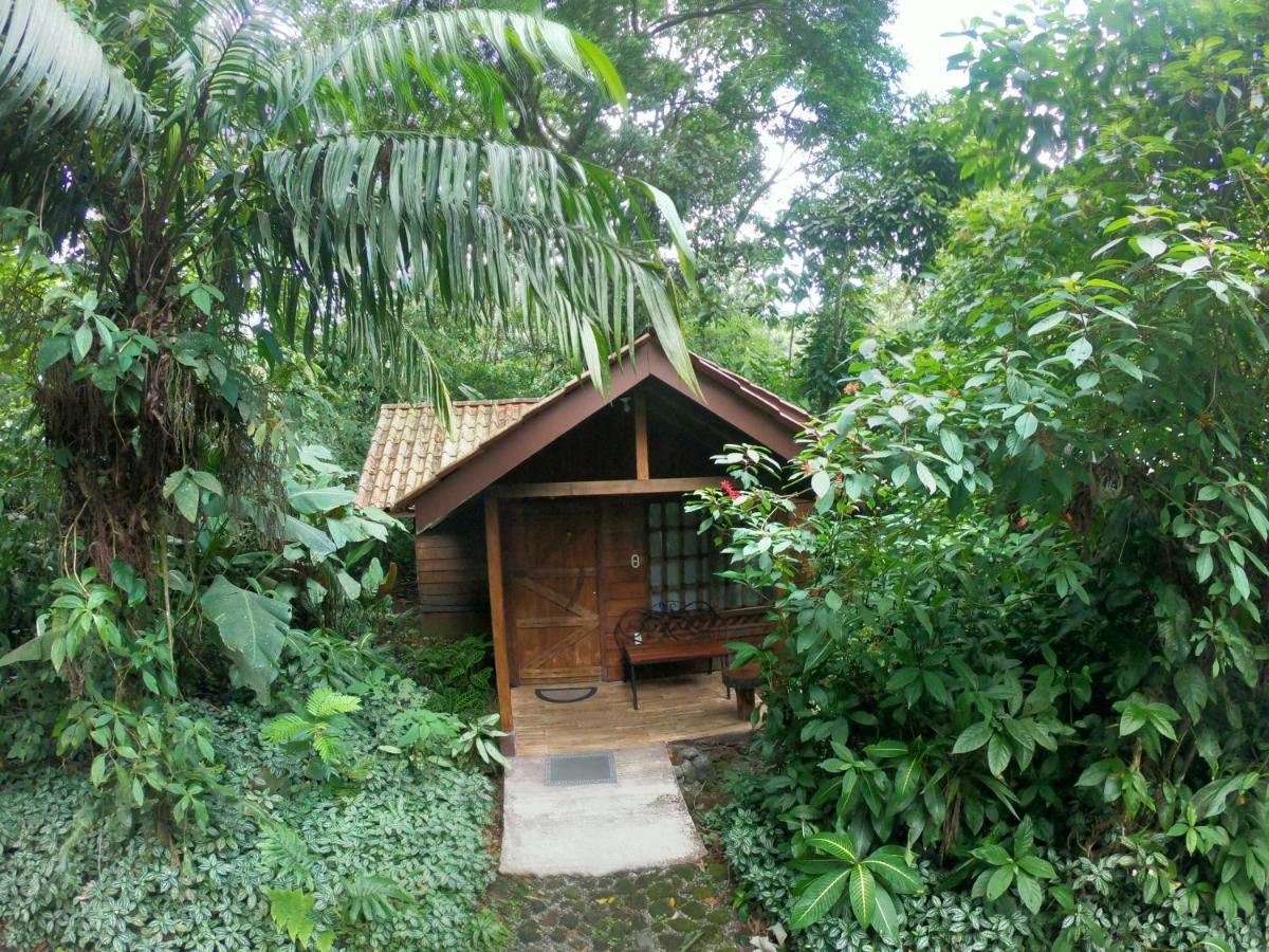 Arenal Oasis Eco Lodge & Wildlife Refuge La Fortuna 외부 사진