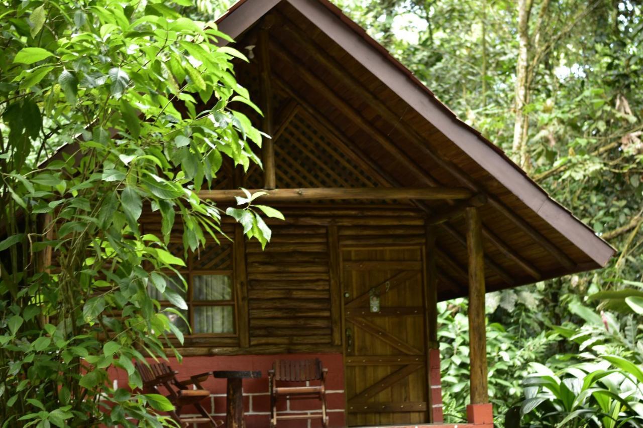 Arenal Oasis Eco Lodge & Wildlife Refuge La Fortuna 외부 사진