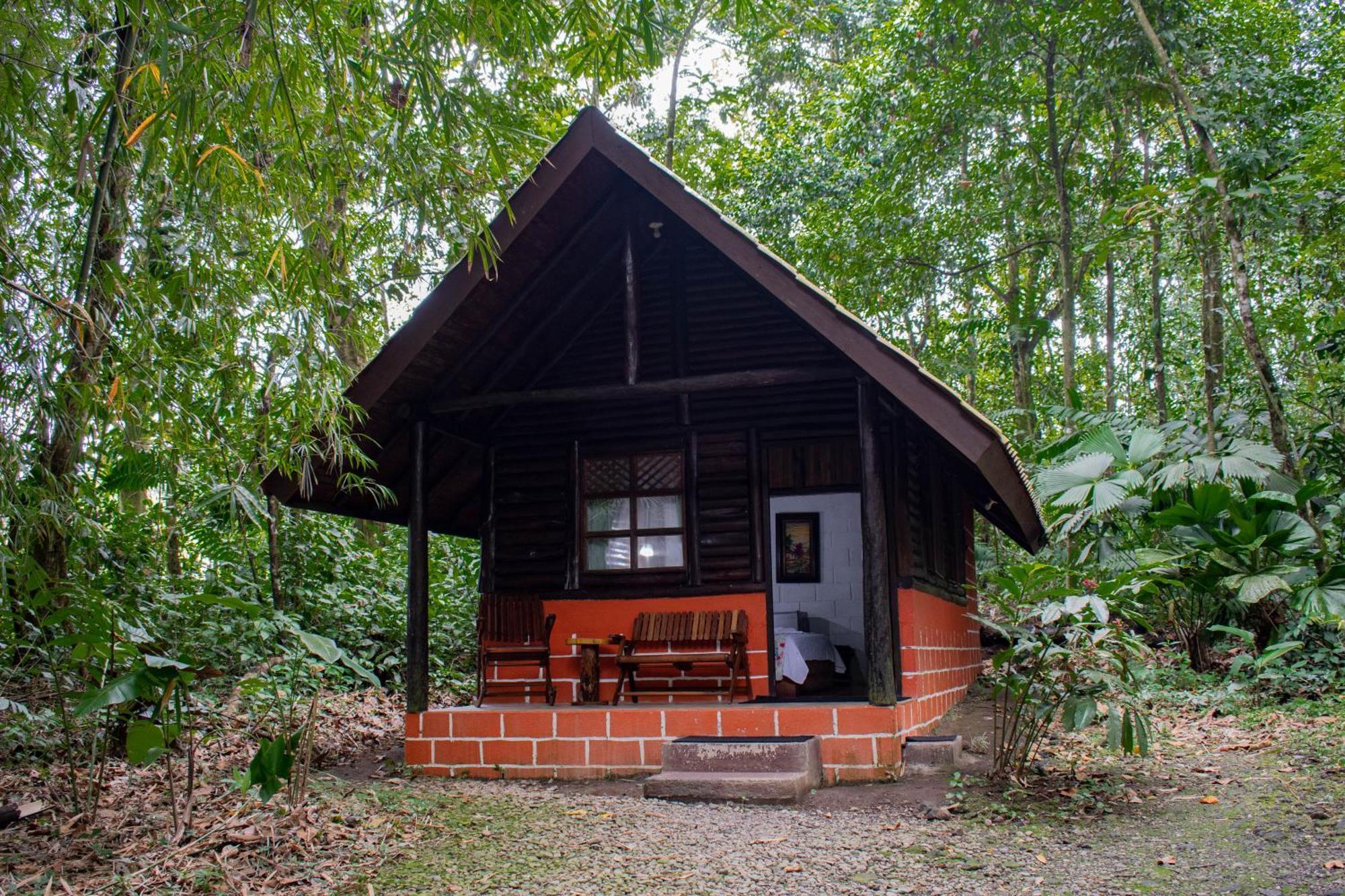 Arenal Oasis Eco Lodge & Wildlife Refuge La Fortuna 외부 사진