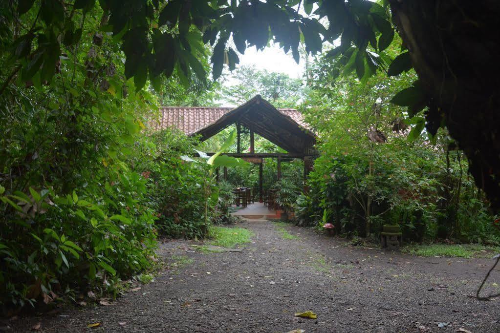 Arenal Oasis Eco Lodge & Wildlife Refuge La Fortuna 외부 사진